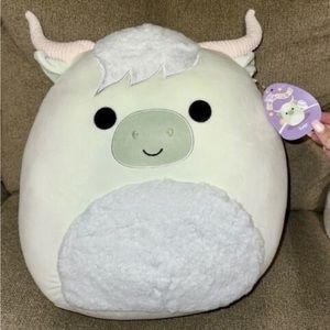 Iver 16” squishmallow